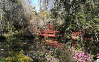 Magnolia Plantation
