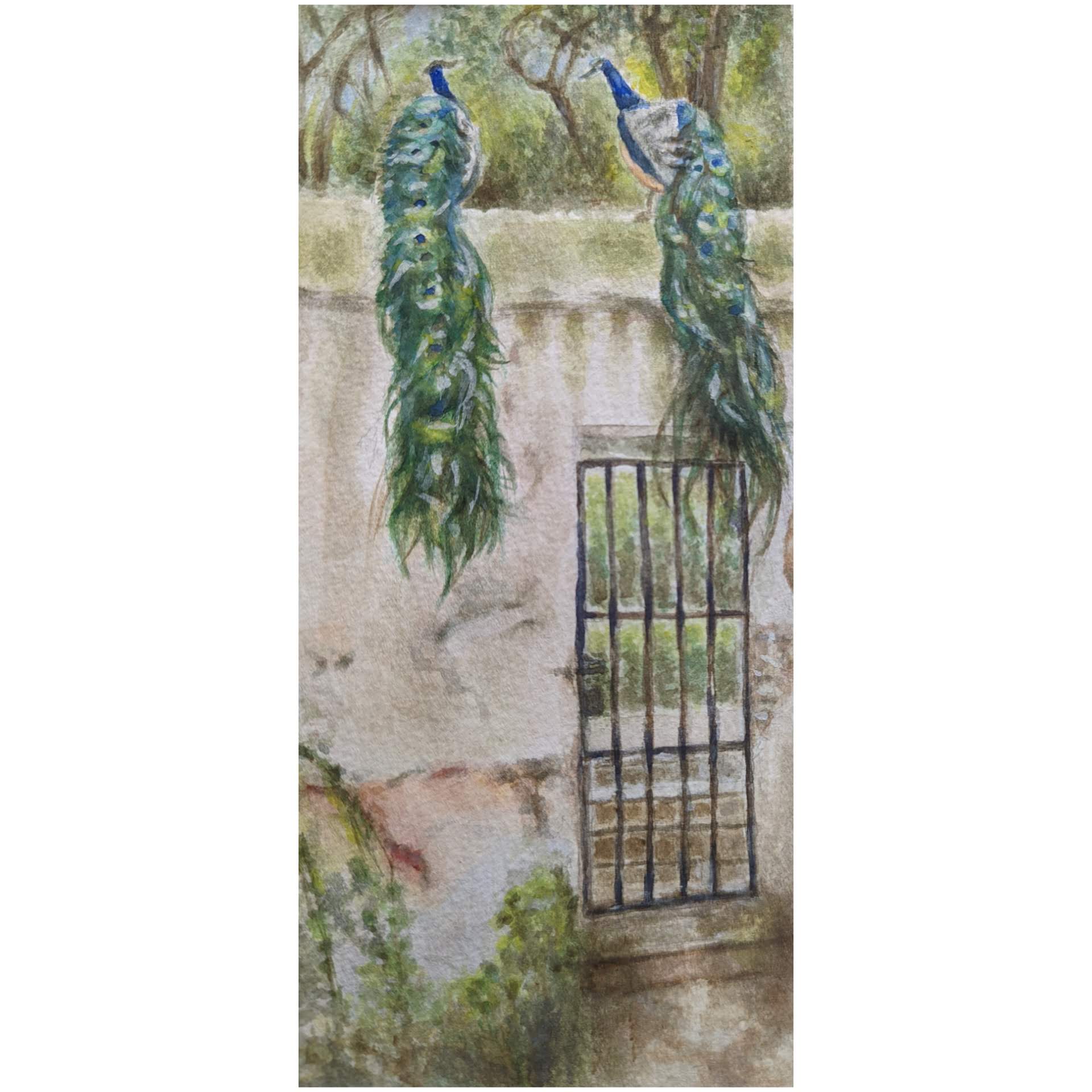 Peacocks-Real_Alcazar-seville-art-watercolour.
